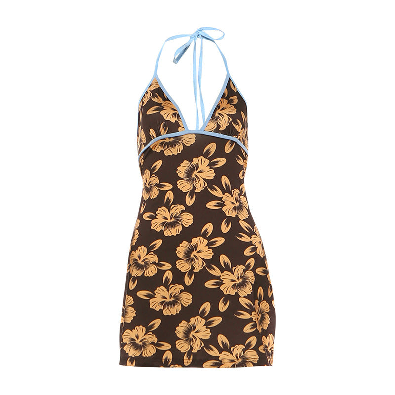 Spring Summer Women Clothing Sexy Vacation V Neck Printed Backless Slim Fit Halter Dress