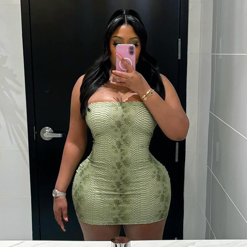 Autumn Winter Women Personalized Snake Pattern Printed Sexy Tube Top Backless Sheath Sexy Dress