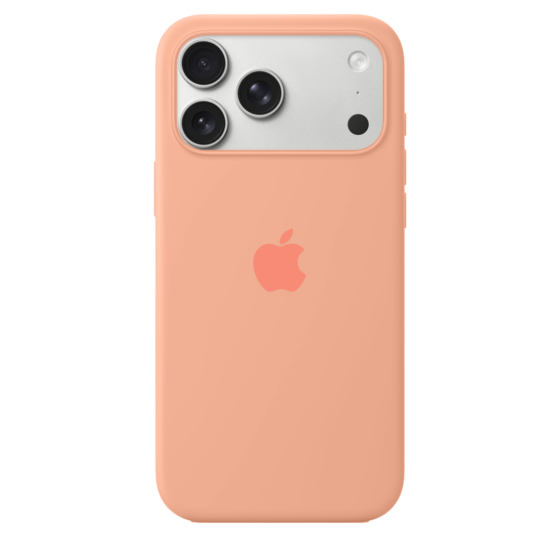 iPhone Silicone Case (Begonia)